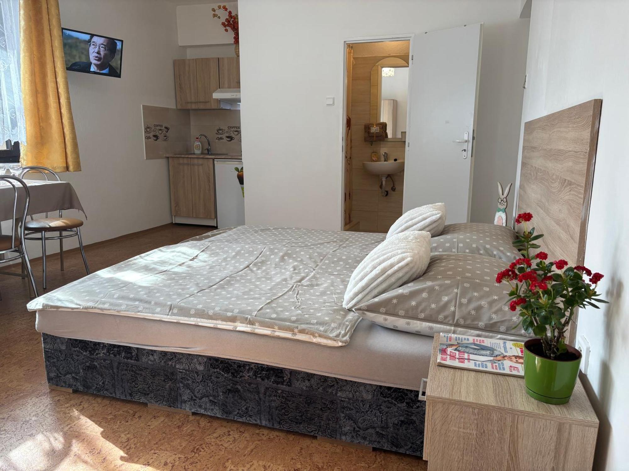 Apartmanovy Dom Grand Štúrovo Esterno foto